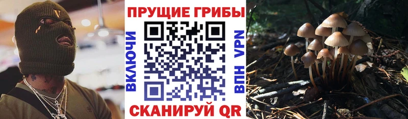 Галлюциногенные грибы GOLDEN TEACHER  где можно купить   ОМГ ОМГ tor  Рассказово 