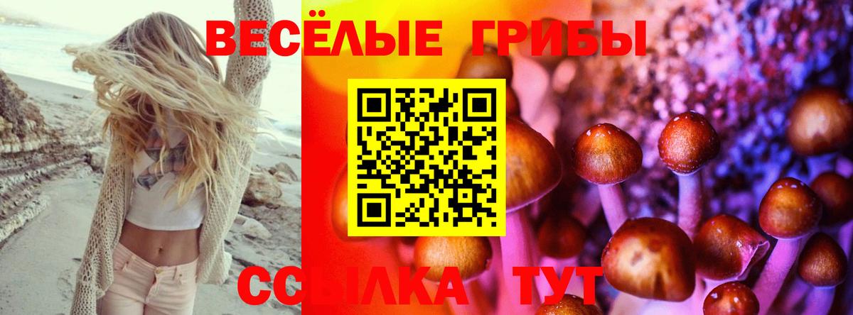 Рассказово  Псилоцибиновые грибы прущие грибы  Вход с VPN 